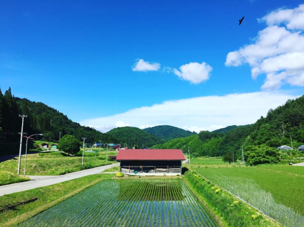 なぜ生まれたか